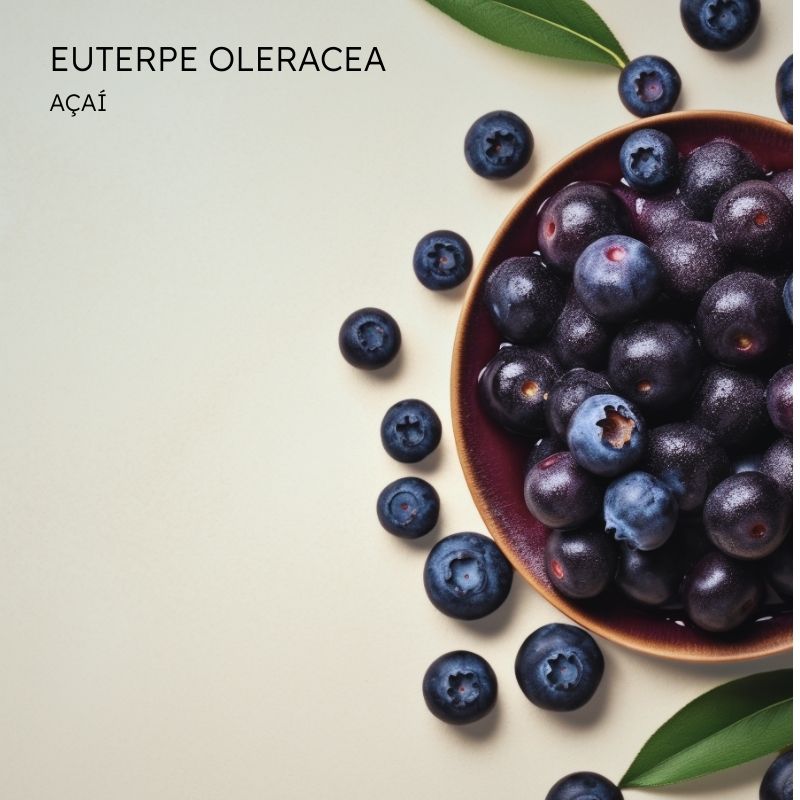 Acai