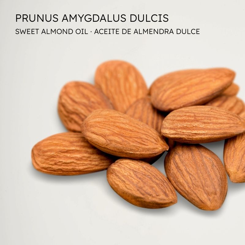 Almendras - Almond