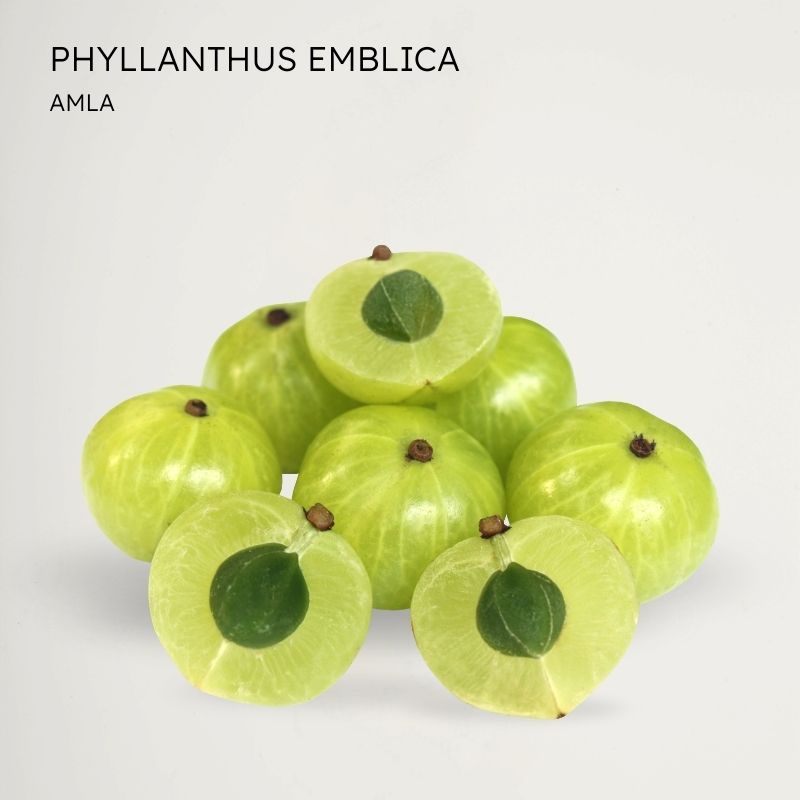 Amla
