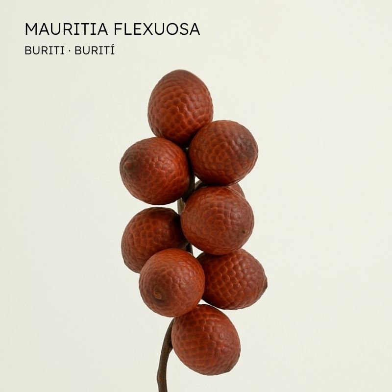 Buriti