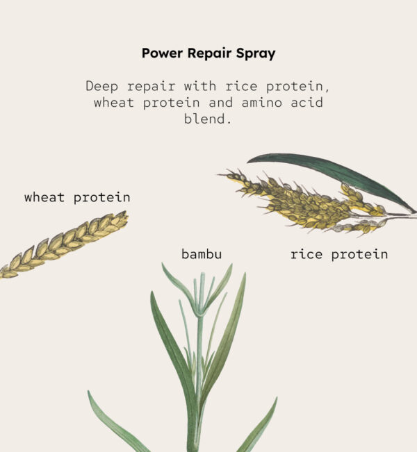 <b>Power Repair Spray</b><br><span style="font-family: 'Red Hat Mono', monospace;">Deep repair treatment for damaged hair.</span> - Image 7