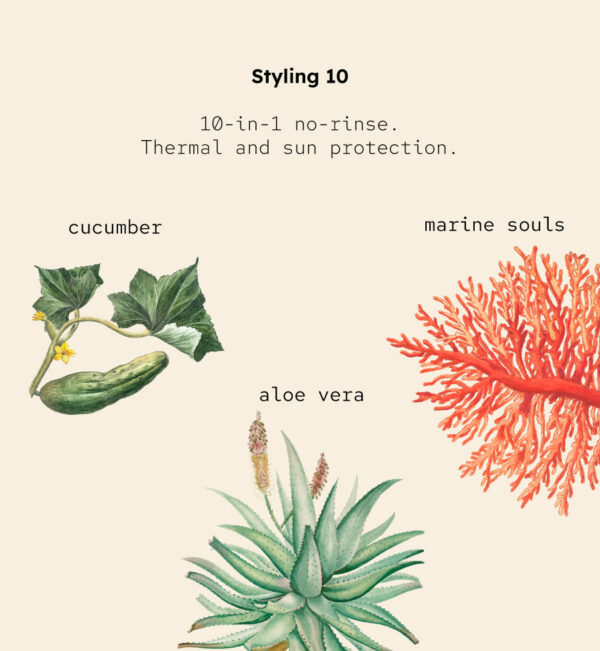 <b>Styling 10</b><br><span style="font-family: 'Red Hat Mono', monospace;">10-in-1 leave-in for hydration, protection & shine</span> - Image 3