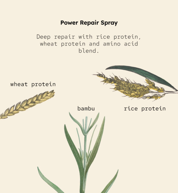 <b>Power Repair Spray</b><br><span style="font-family: 'Red Hat Mono', monospace;">Tratamiento de reparación profunda para cabellos dañados.</span> - Imagen 7