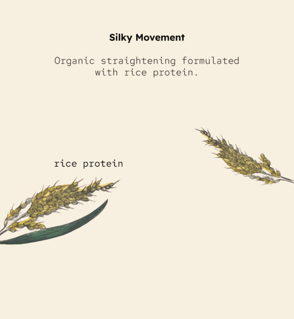 <b>Silky Movement</b><br><span style="font-family: 'Red Hat Mono', monospace;">Long-lasting organic anti-frizz straightening treatment</span> - Image 5