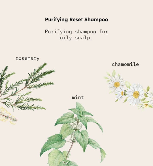 <b>Purifying Reset Shampoo</b><br><span style="font-family: 'Red Hat Mono', monospace;">Purifying shampoo that refreshes and renews the scalp</span> - Image 3