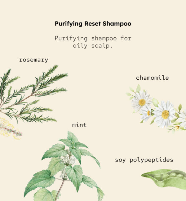 <b>Shampoo Purifying Reset</b><br><span style="font-family: 'Red Hat Mono', monospace;">Champú de limpieza profunda que no reseca</span> - Imagen 3